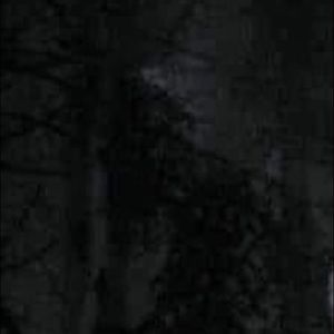 Meet your Posher, Trinity